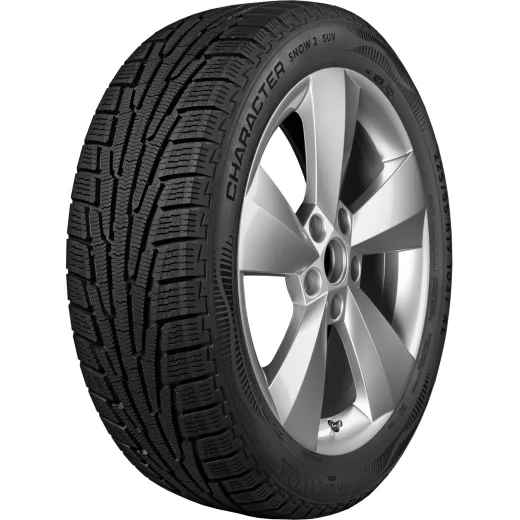 Ikon 225/65R17 106R XL Character Snow 2 SUV (Nordman RS2 SUV) TL